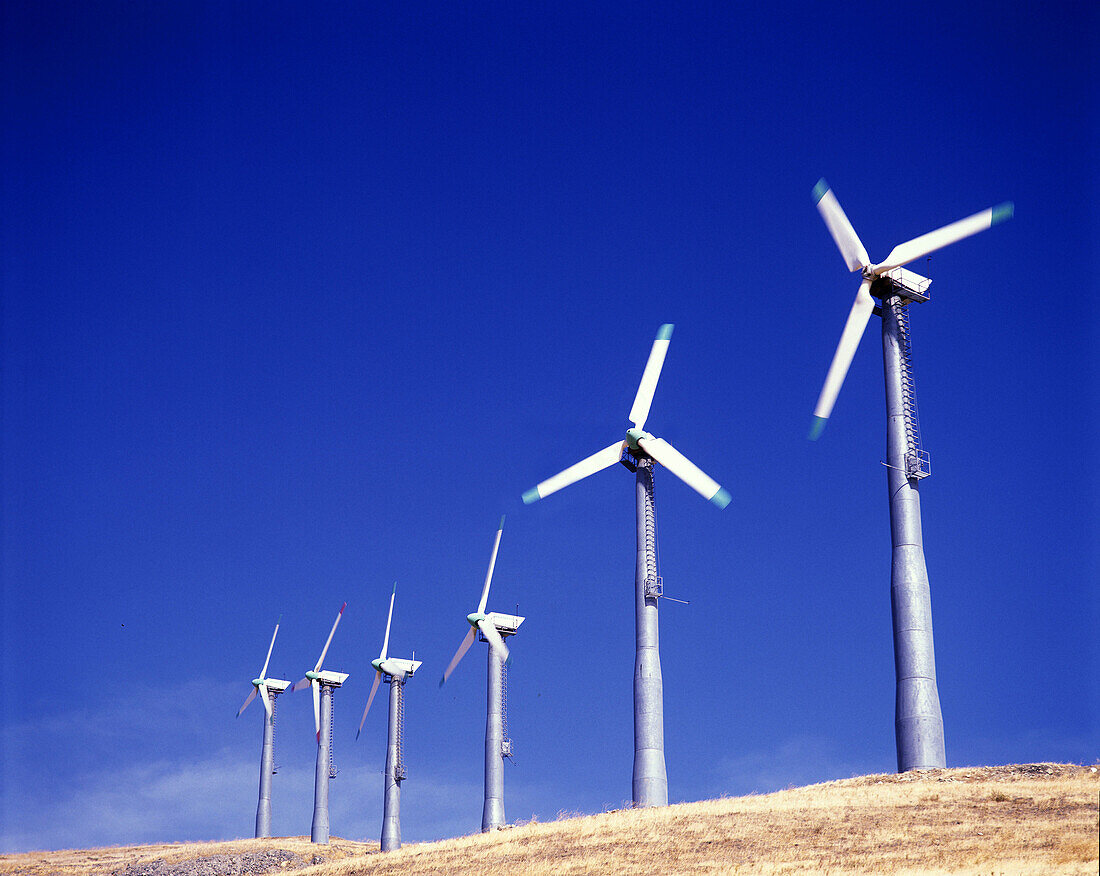 Altamont pass wind power plant, California, USA.