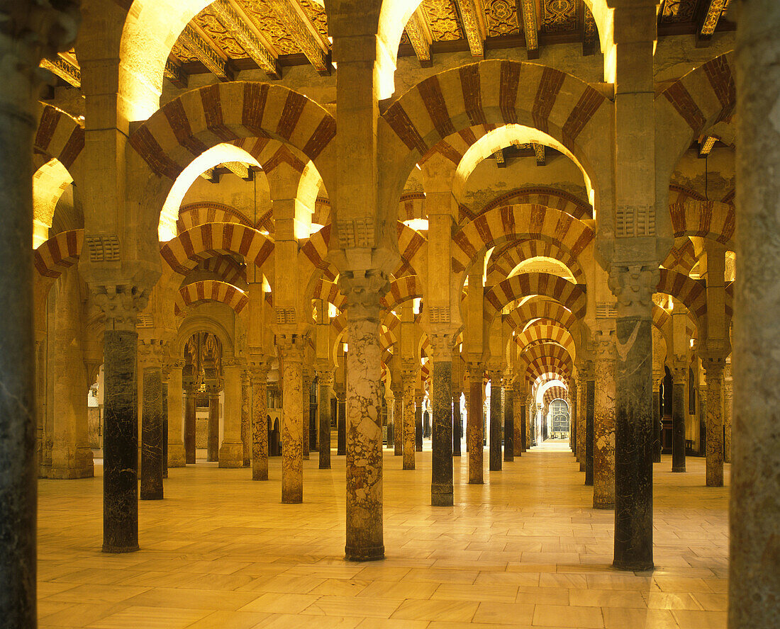 Arches, Mosque of the caliphs, Cordoba, … – License image – 70148897 ...