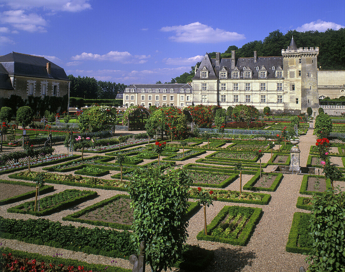 Garden, Chateau villandry, Indre-et-loire, France.
