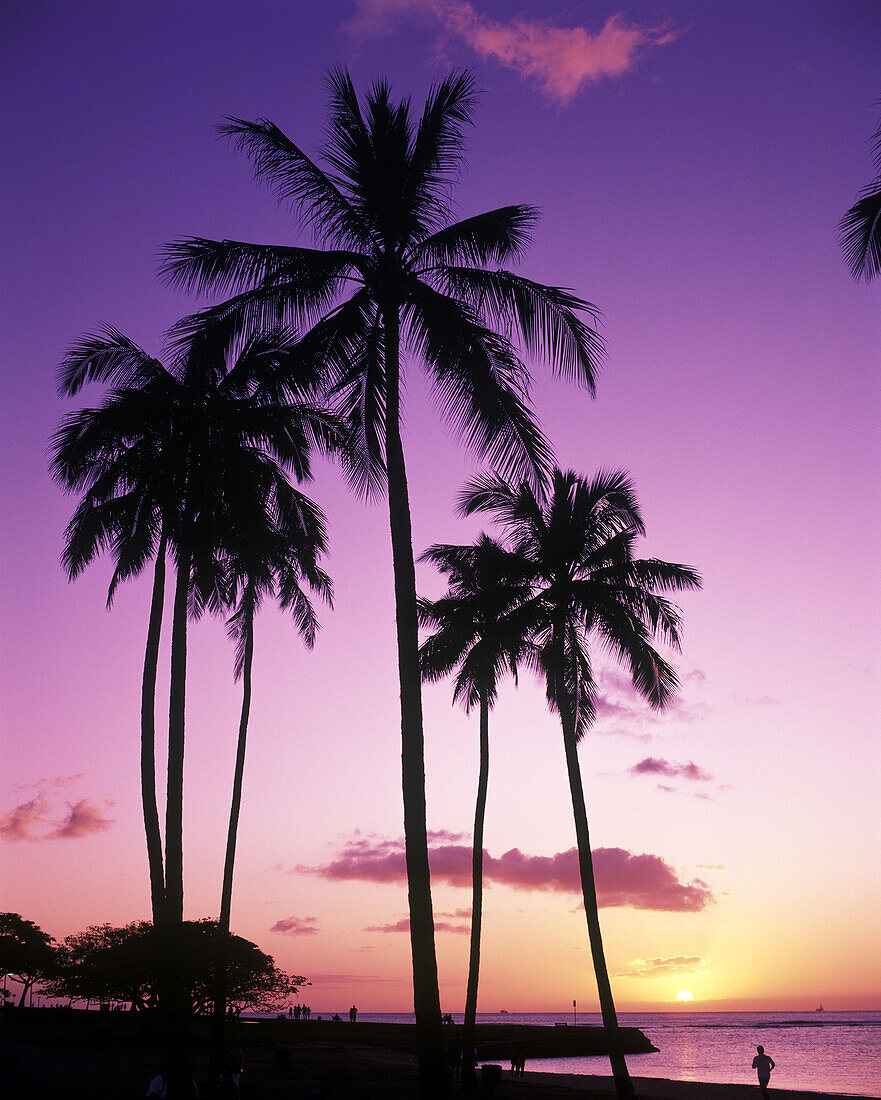 Ala moana park, Honolulu, Oahu, Hawaii, USA.