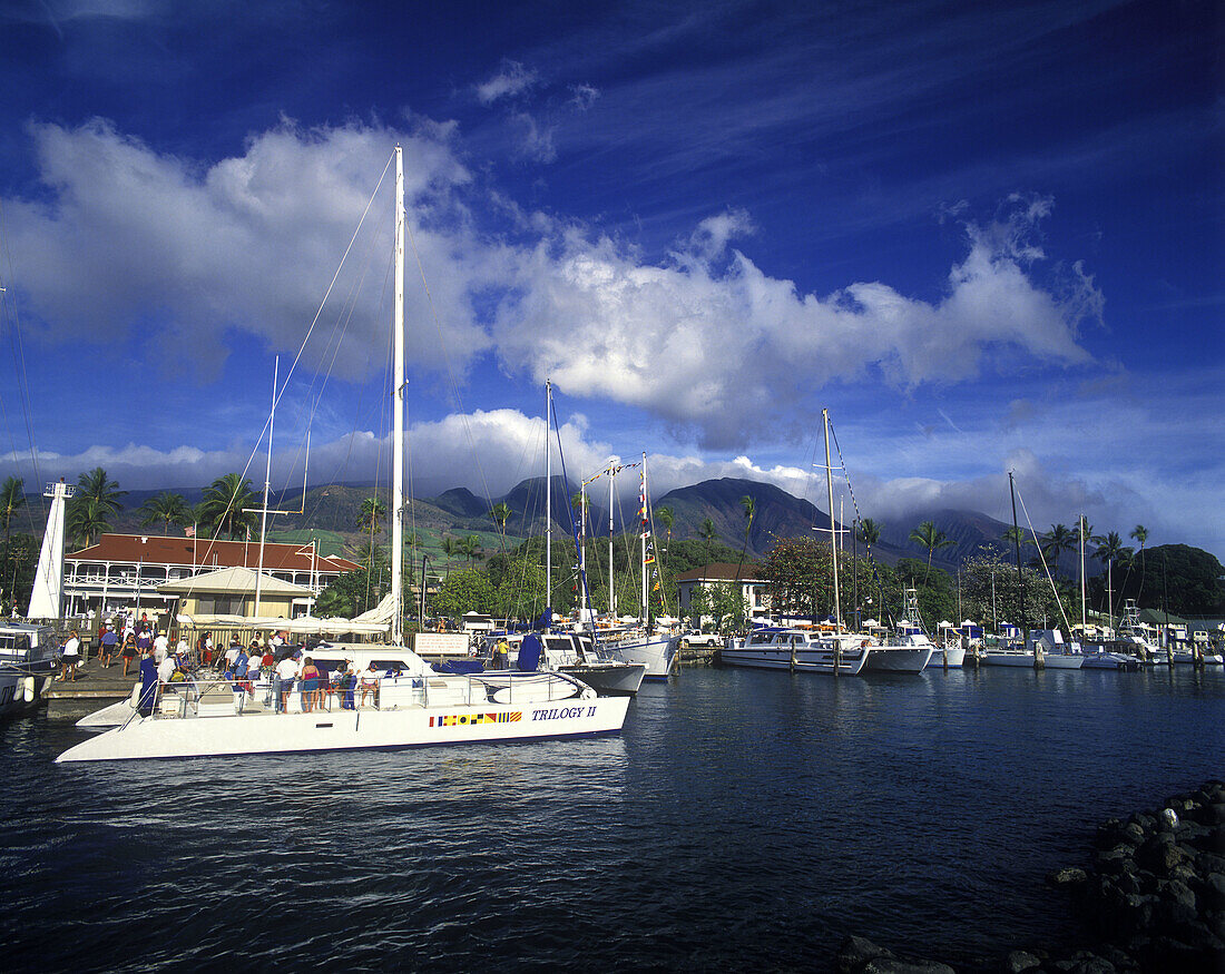 Lahaina harbor, Maui, Hawaii, USA.