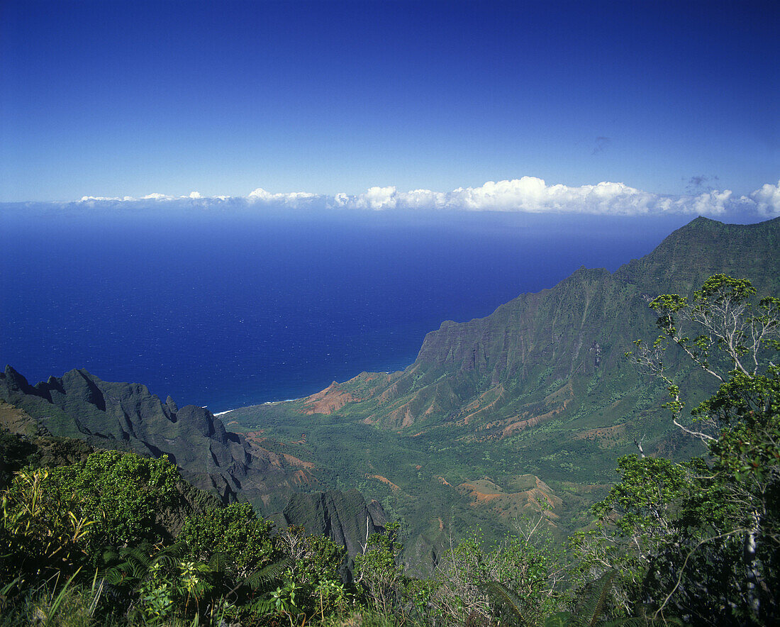 Scenic honopu valley, Na pali coastline, Kauai, Hawaii, USA.
