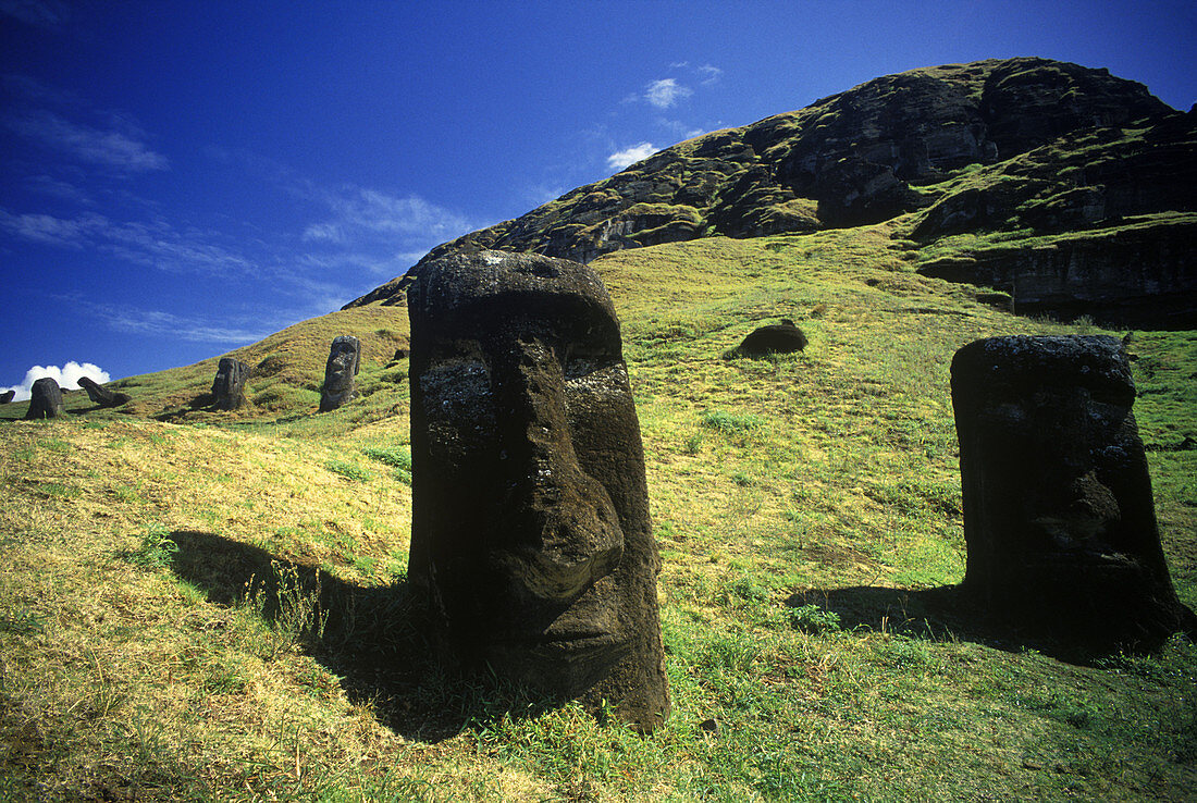 Moai, Rano raraku, Easter island, Chile.