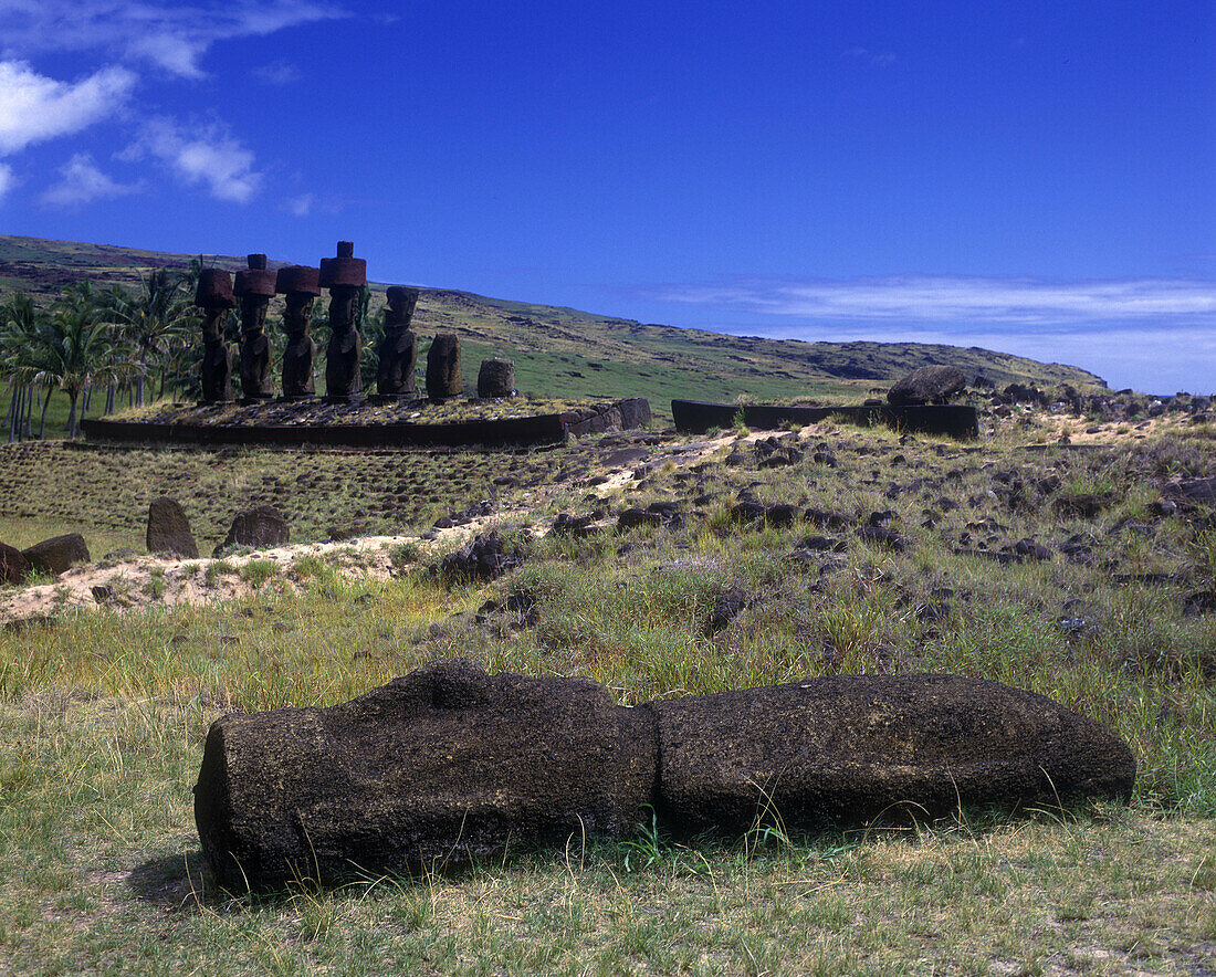 Moai, Ahu anakena, Easter island, Chile.