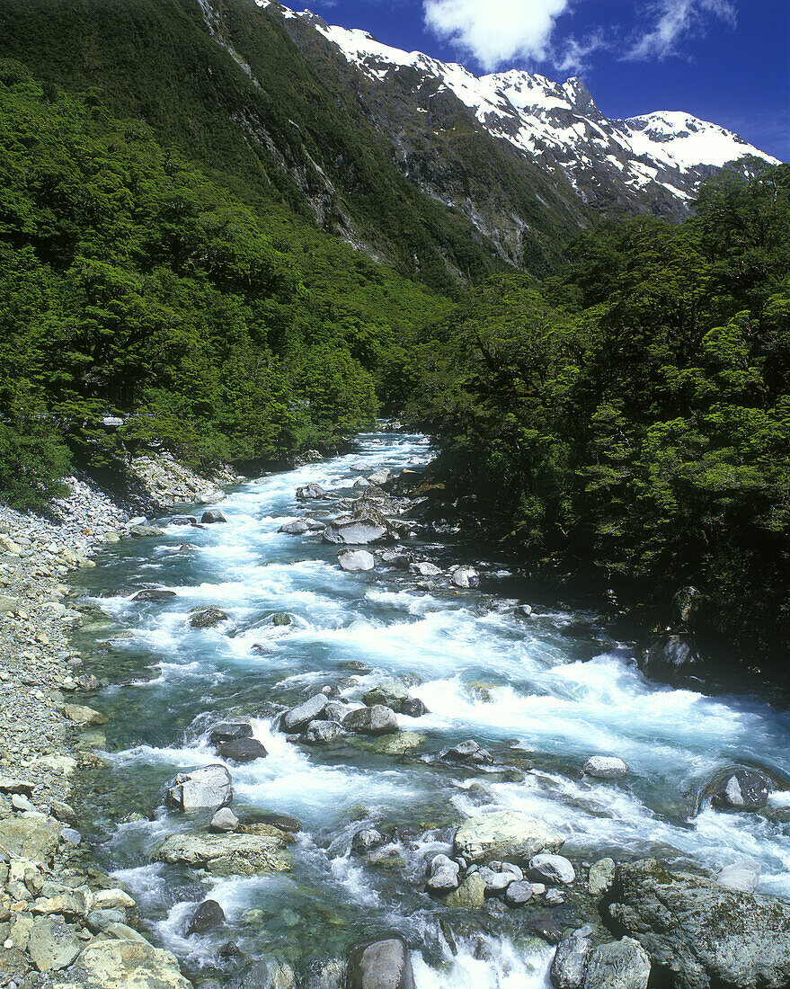 Scenic hollyford river, Fiordland, New zealand.