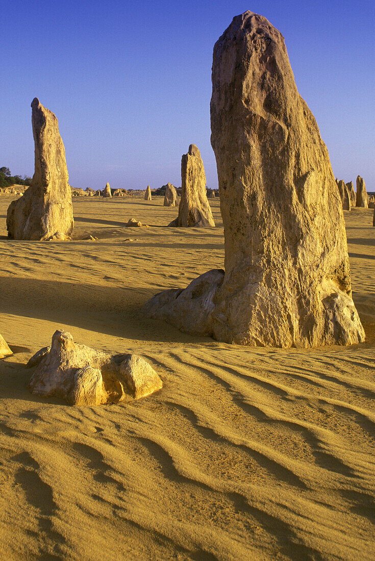 Scenic desert pinnacles, Nambung national park, West australia, Australia.