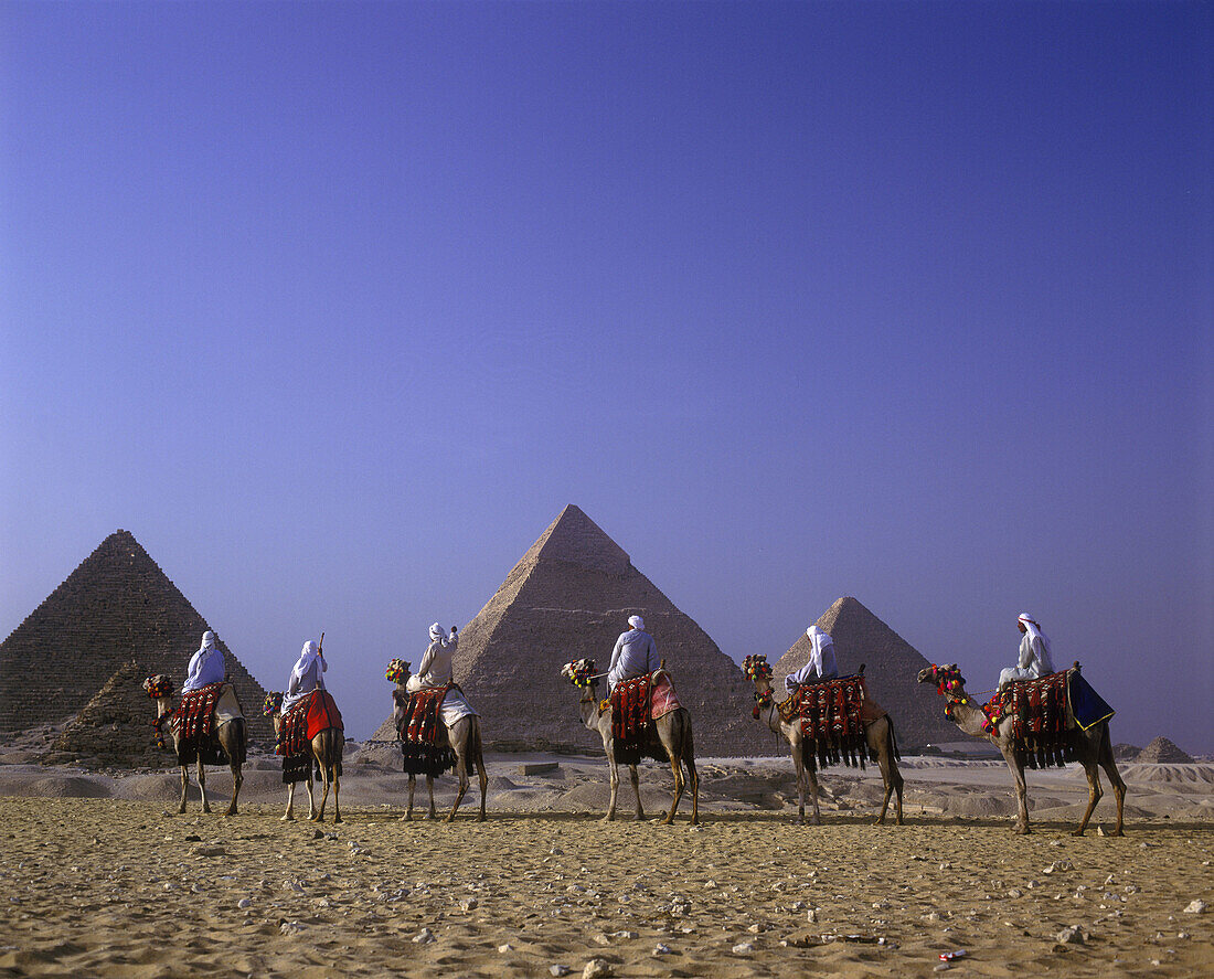 Scenic camel caravan, Great pyramids, Giza ruins, Cairo, Egypt.