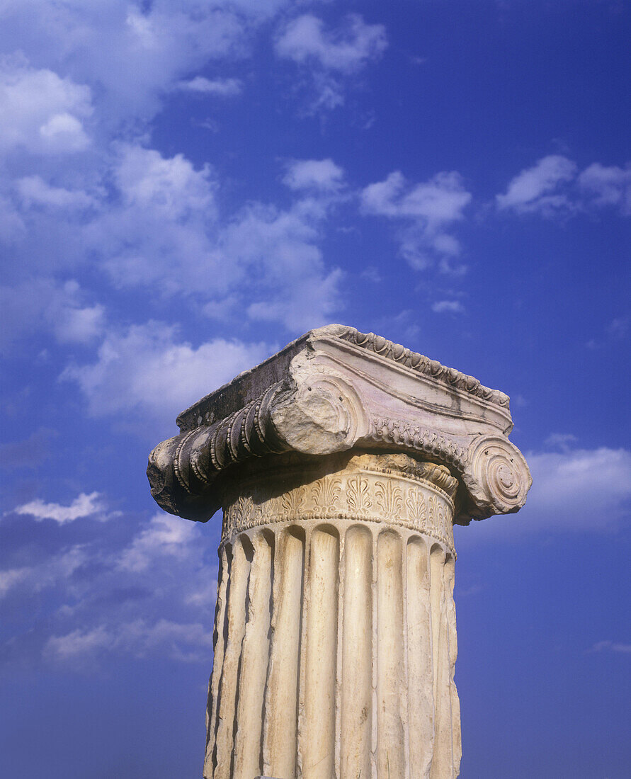 Ionic column, Delphi, Greece.
