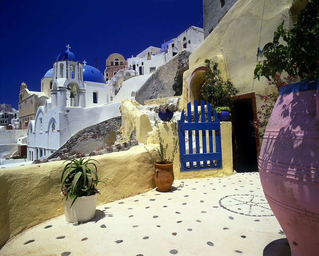 Garden, Oia, Santorini, Greece.