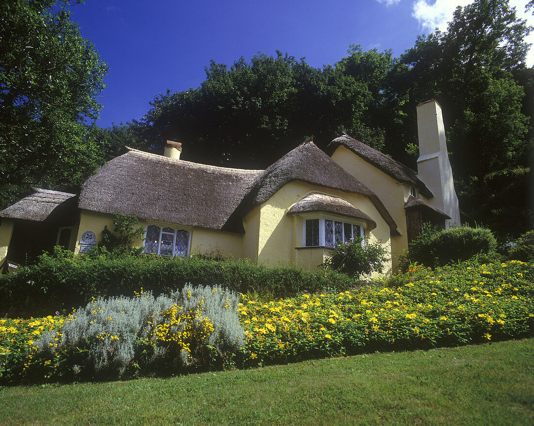 Cottage, Selworthygreen village, Somerset, England, UK
