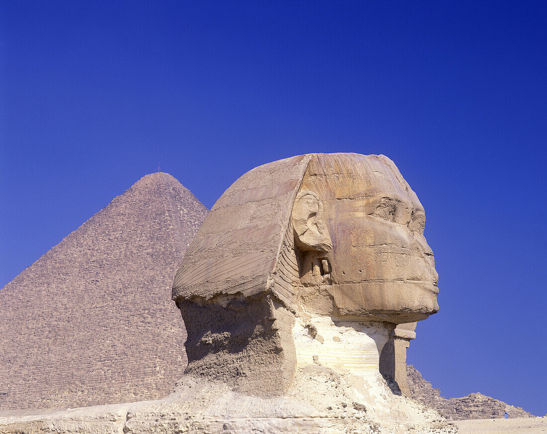 Face of sphinx & pyramid, Giza ruins, Egypt.