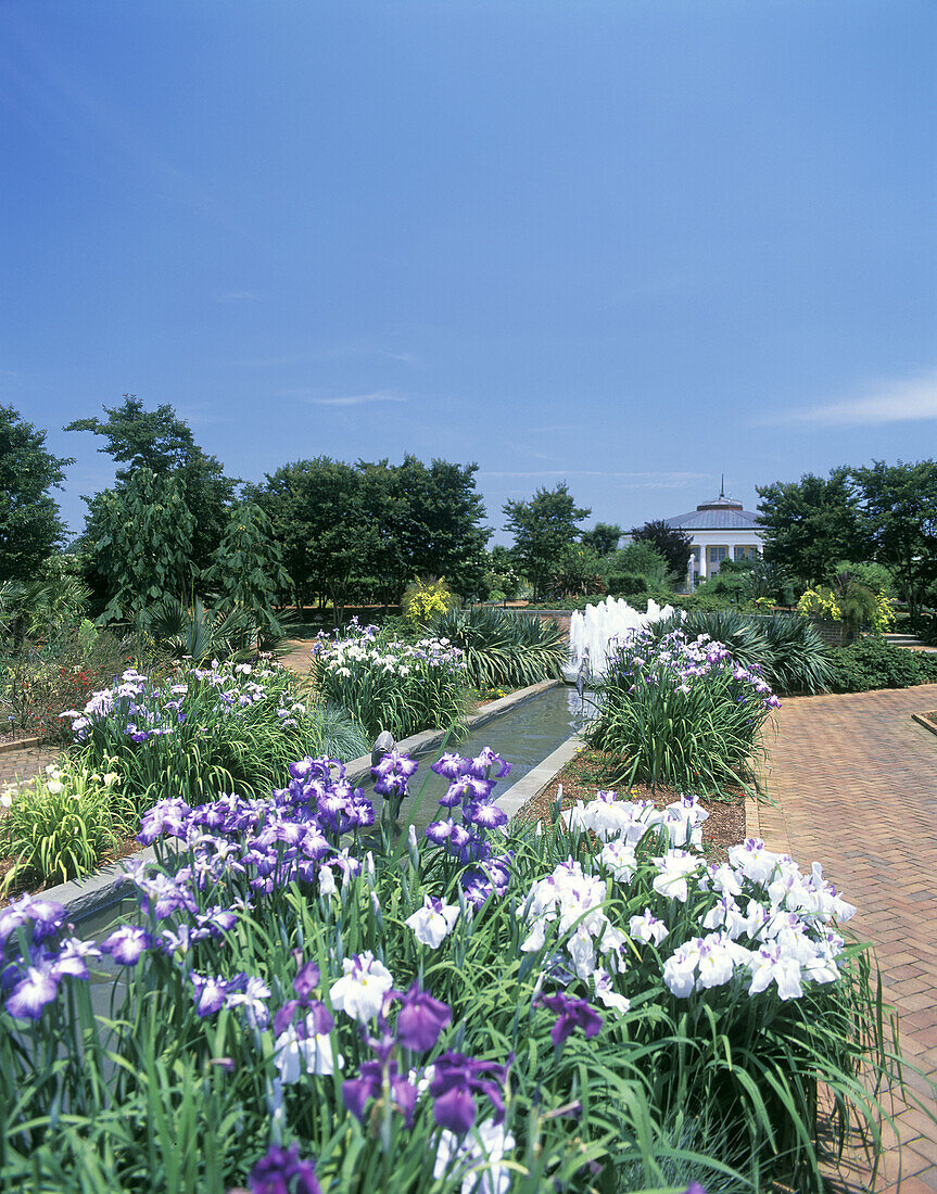 Canal garden, Daniel stowe garden, Belmont, Charlotte, North carolina, USA.