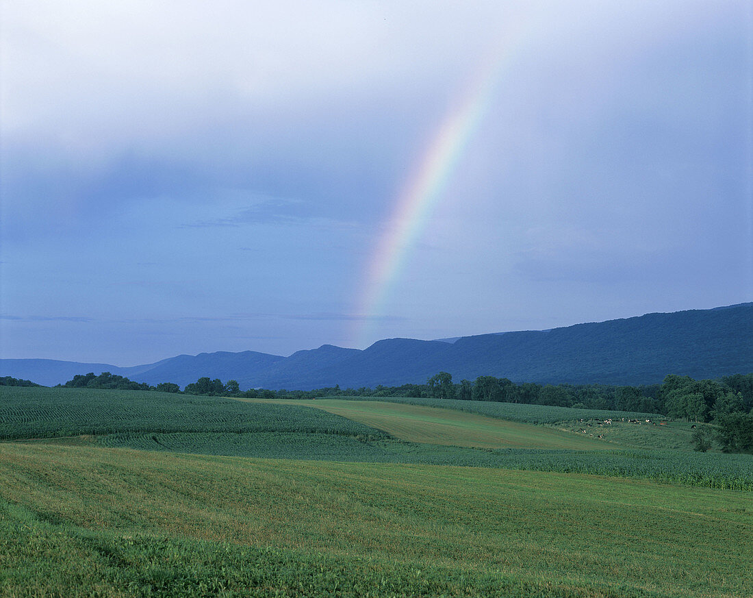 Rainbow, Nittany valley, Pennsylvania, USA.