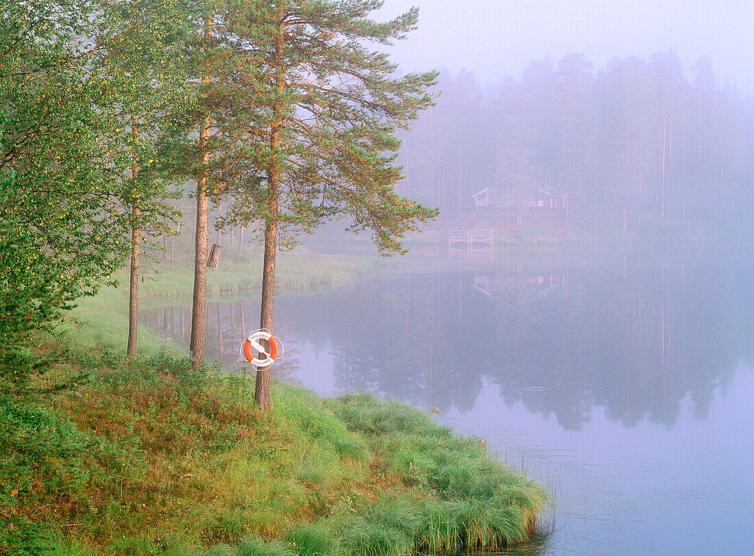 Misty morning in Rusksele. Vasterbotten. Sweden