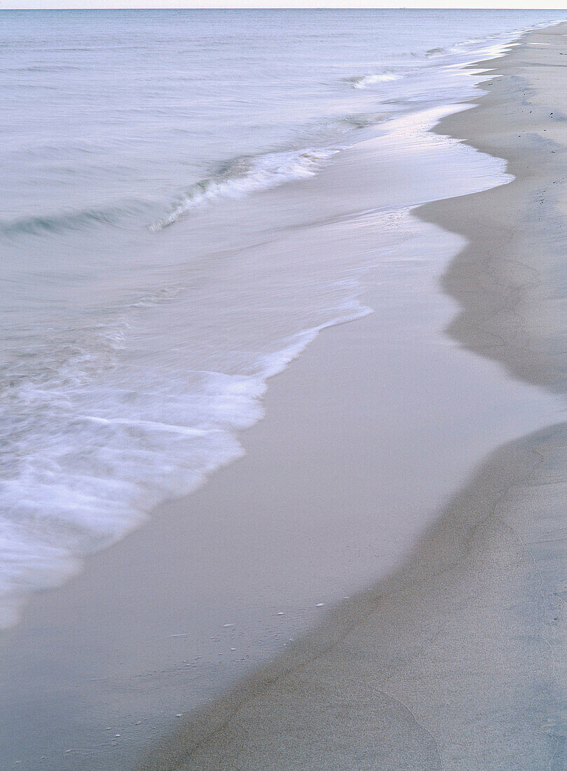 Sand beach in Skane. Sweden