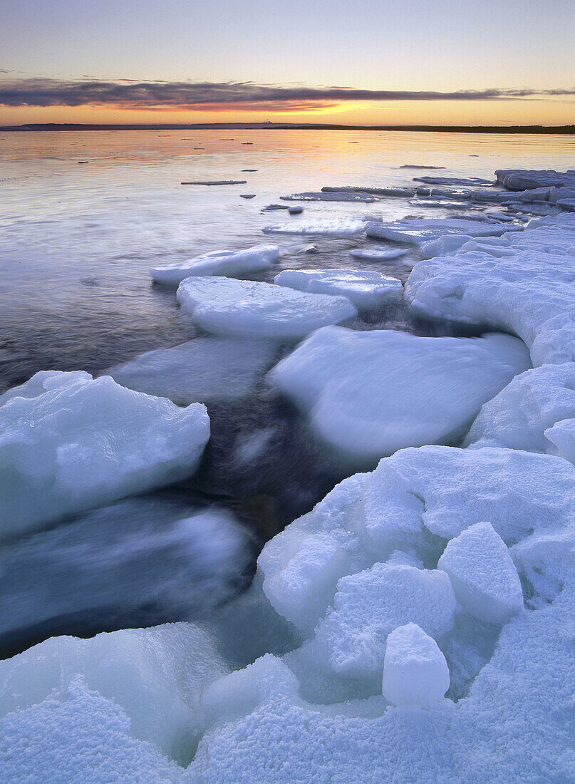 Icefloes at the shore-line and sunset. Gulf of Bothnia. Langnasudden. Vasterbotten. Sweden