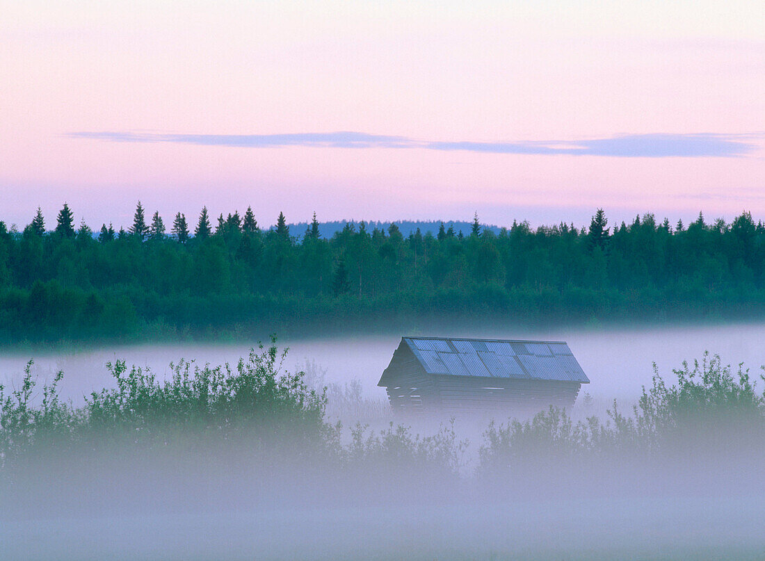 Misty evening. Vasterbotten. Sweden