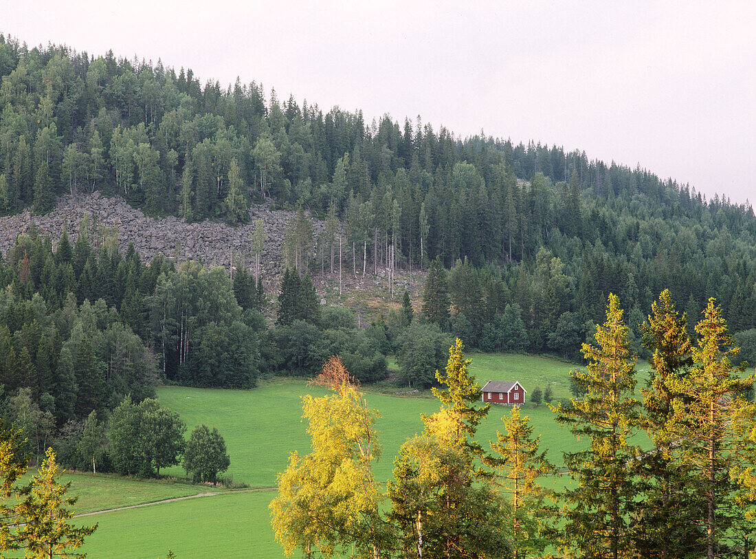 Red cottage and small mountain. Backland, Ångermanland, Sweden