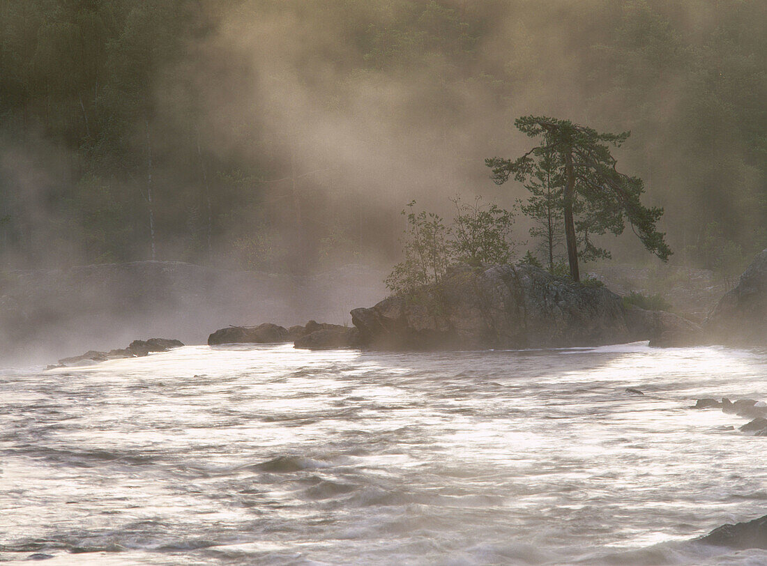 Misty morning over rapids in river Voxnan. Hälsingland, Sweden
