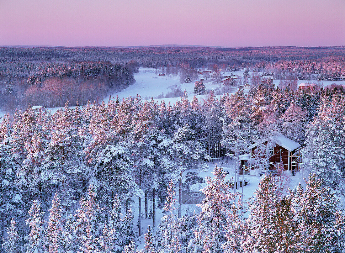 Snow-covered trees and house from above. Byske, Västerbotten, Sweden