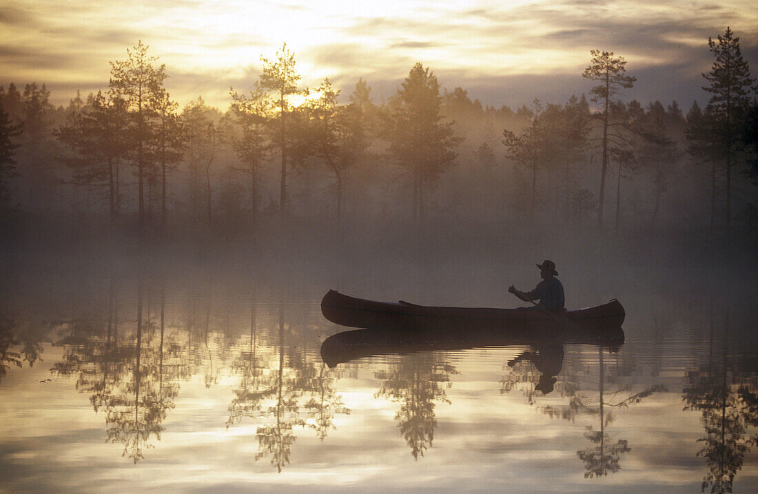 A man paddle a canoe a misty summermorning at a small lake. Byske. Vasterbotten. Sweden.