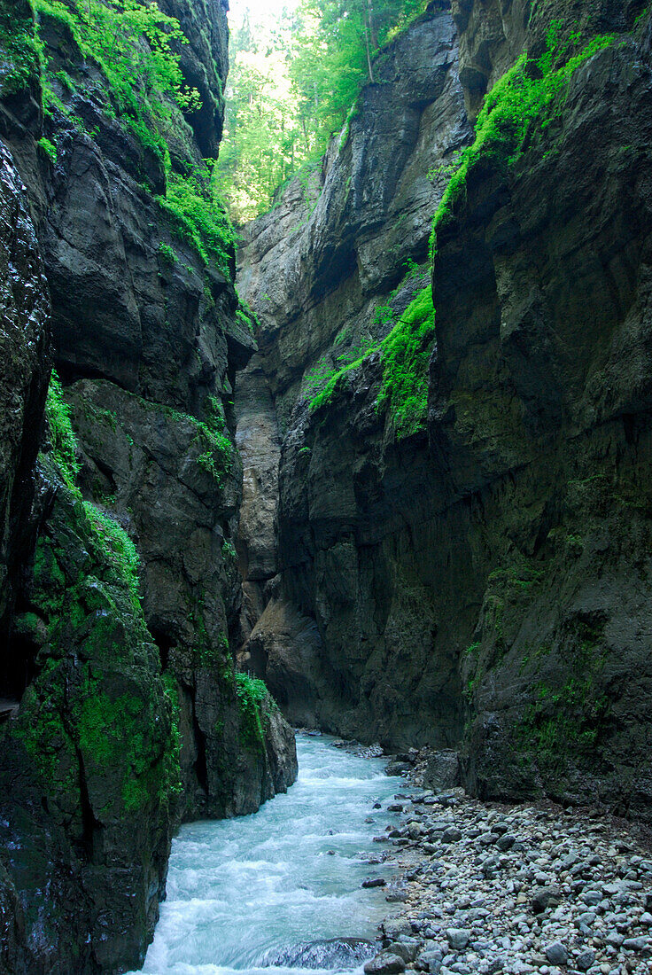 canyon of Partnachklamm, Wetterstein range, Garmisch-Partenkirchen, Upper Bavaria, Bavaria, Germany