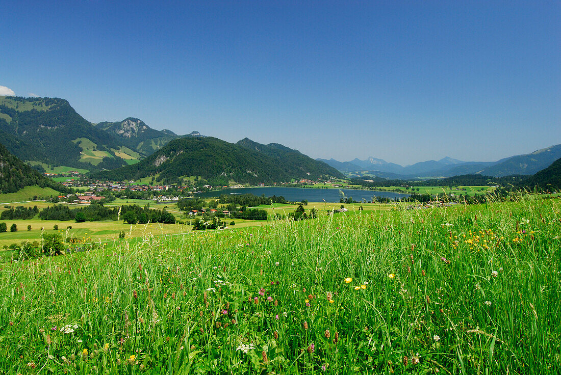 Blick über Walchsee aufs Kaisergebirge, Tirol, Österreich