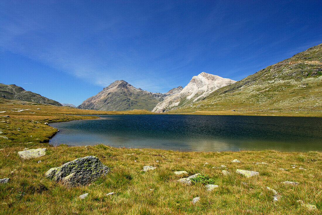 Lej Nair mit Piz Albris und Piz Alv, Engadin, Graubünden, Schweiz