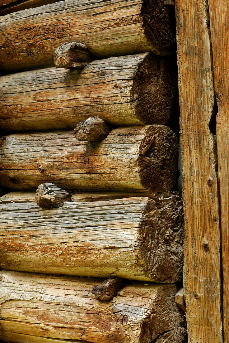Detail des Blockbaus eines Heustadels, Rossa, Val Calanca, Tessin, Schweiz