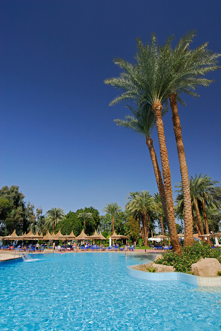 swimming-pool area with palm trees, Crocodile Island, Luxor, Egypt, Africa