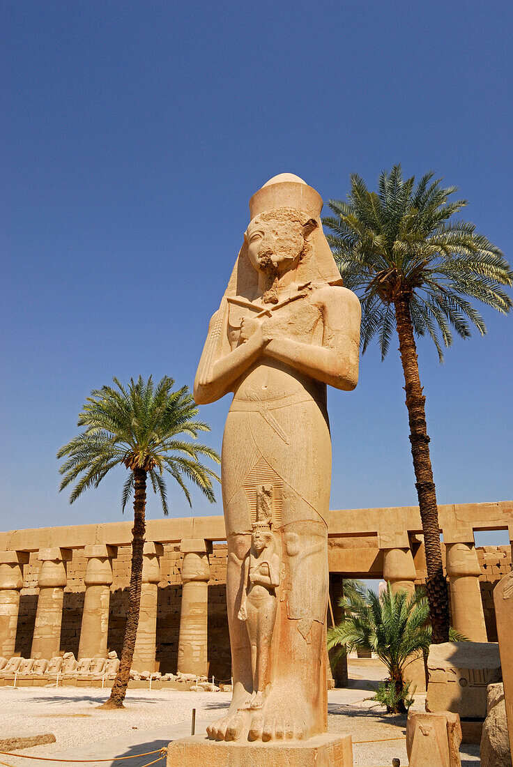 Statue von Ramses mit Palmen im Tempel von Karnak, Ägypten, Afrika