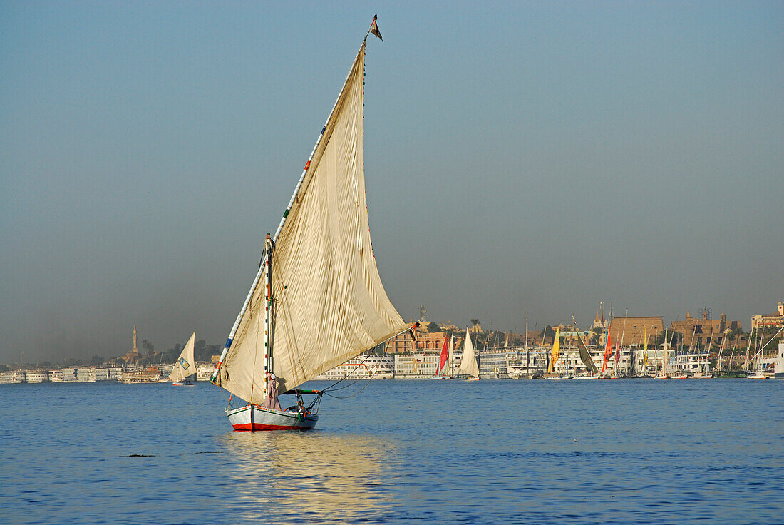 Segelboote (Felluken) auf dem Nil, Kreuzfahrtschiffe und Luxor im Hintergrund, Ägypten, Afrika