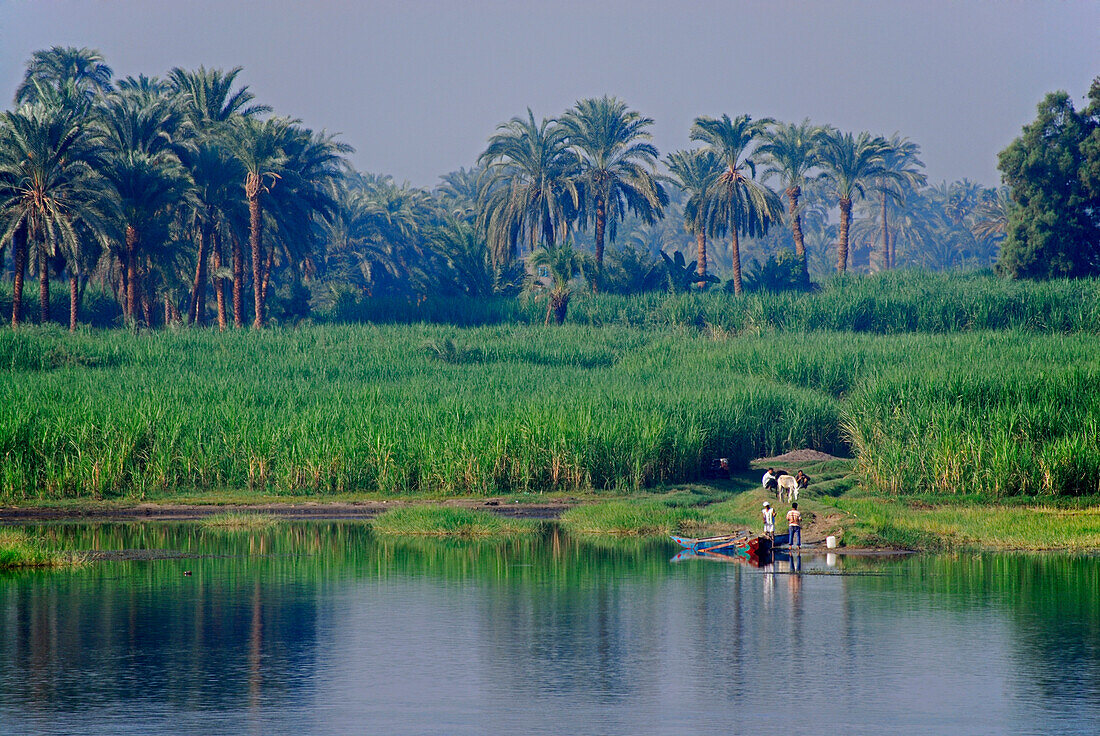 Nilkreuzfahrt, Bauern und Fischer am Ufer mit Palmen, Nil Abschnitt Luxor-Dendera, Ägypten, Afrika