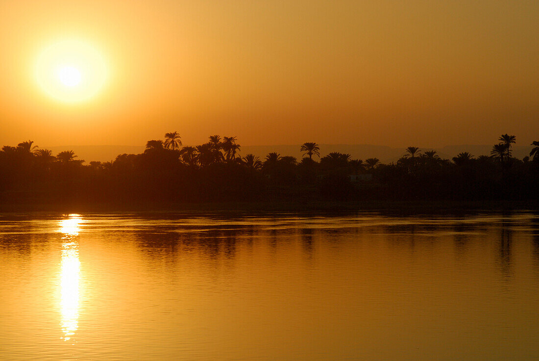 cruise on the Nile, sunset above palm trees at western bank, Nile between Luxor and Dendera, Egypt, Africa