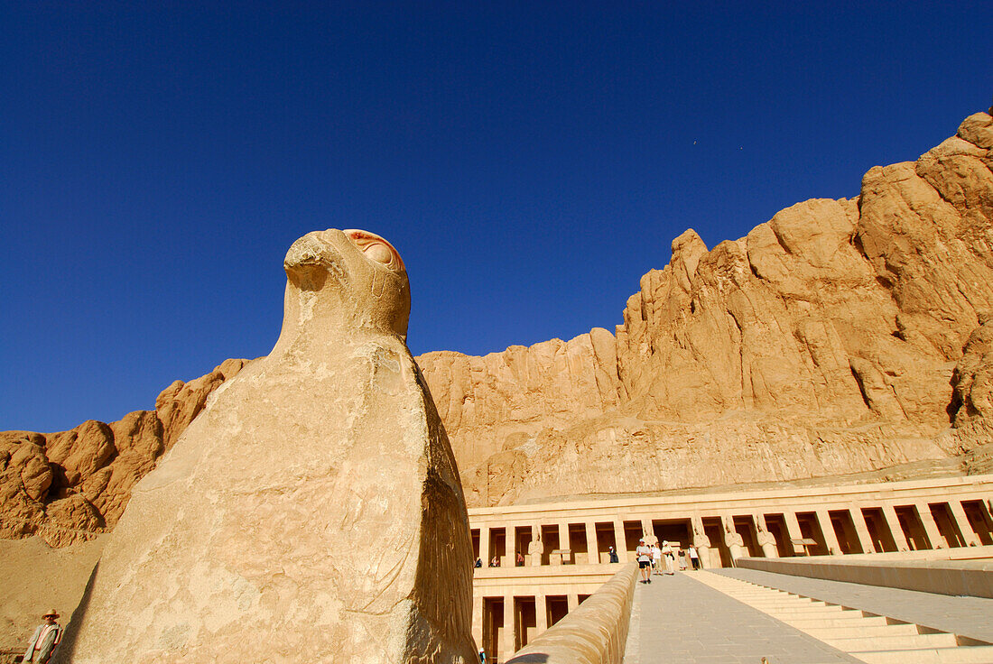 statue of falcon besides stairway to temple of Hatshepsut (Hatshepset), Thebes, western bank, valley of the queens, Egypt, Africa
