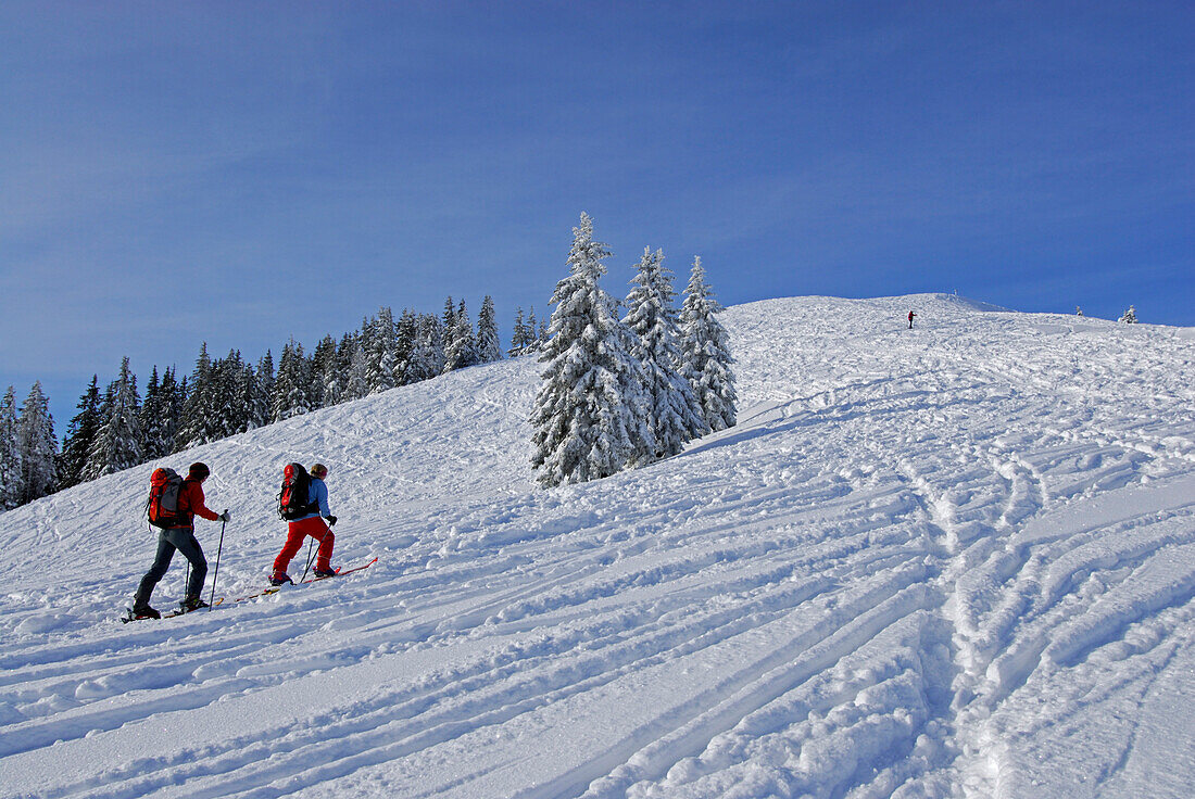 Zwei Skitourengeher im Aufstieg zum Wertacher Hörnle, Allgäuer Alpen, Bayern, Deutschland