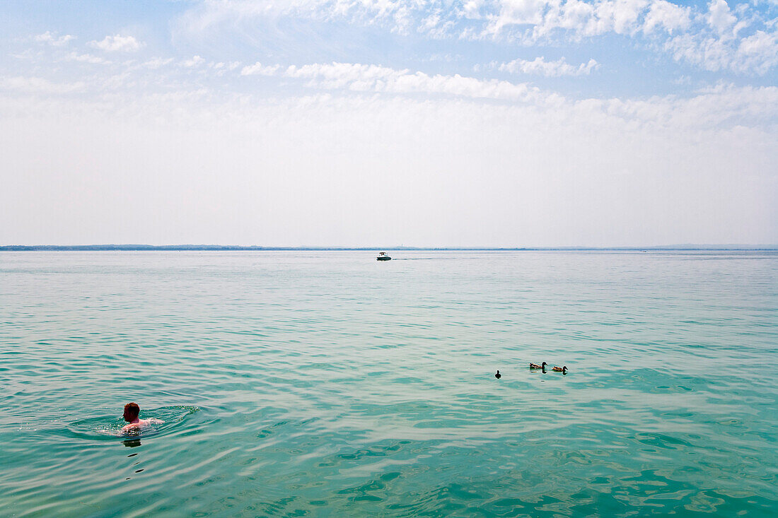 Swimmer, Lazise, Lake Garda, Veneto, Italy