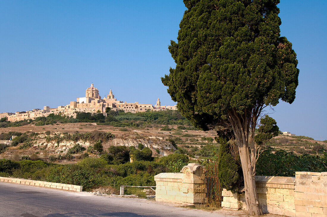 Blick über eine Landstrasse auf die Stadt Mdina, Malta, Europa