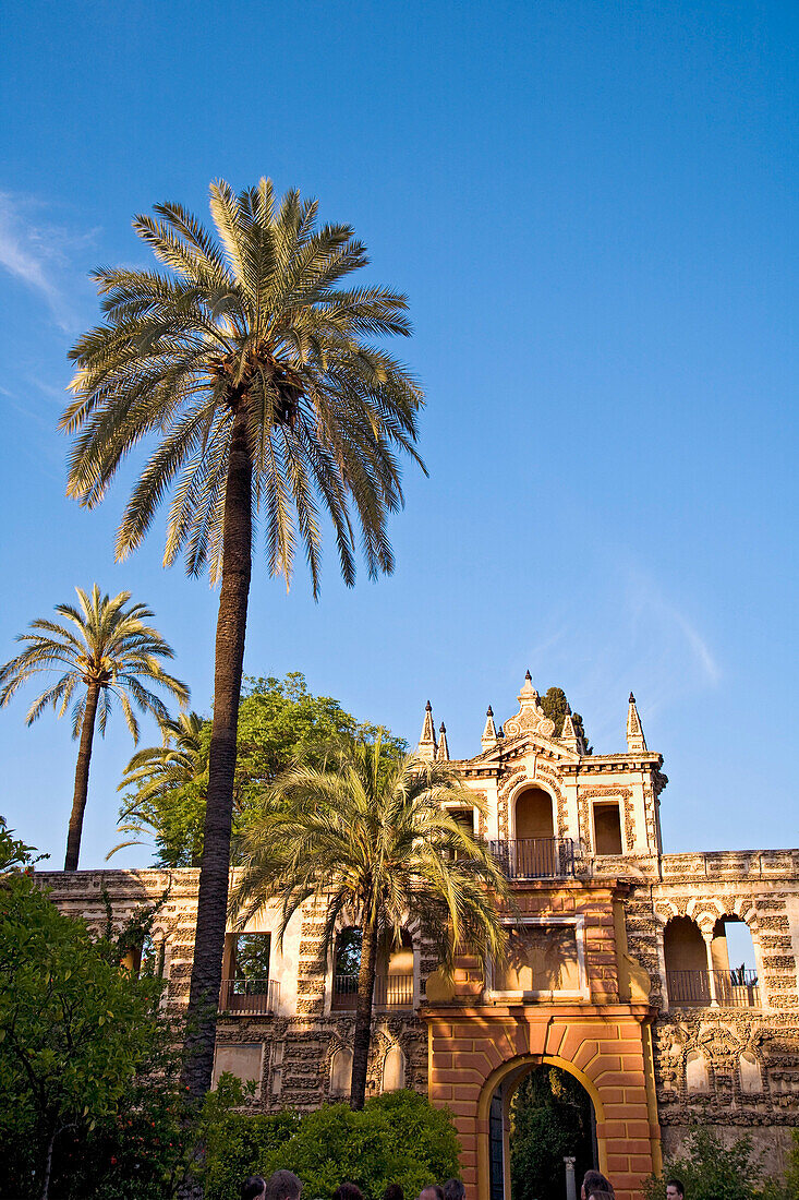 Alcazar, Sevilla, Andalusien, Spanien