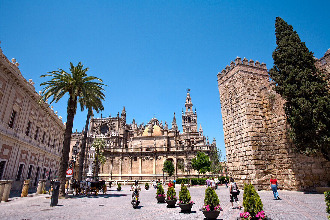 Kathedrale, Sevilla, Andalusien, Spanien