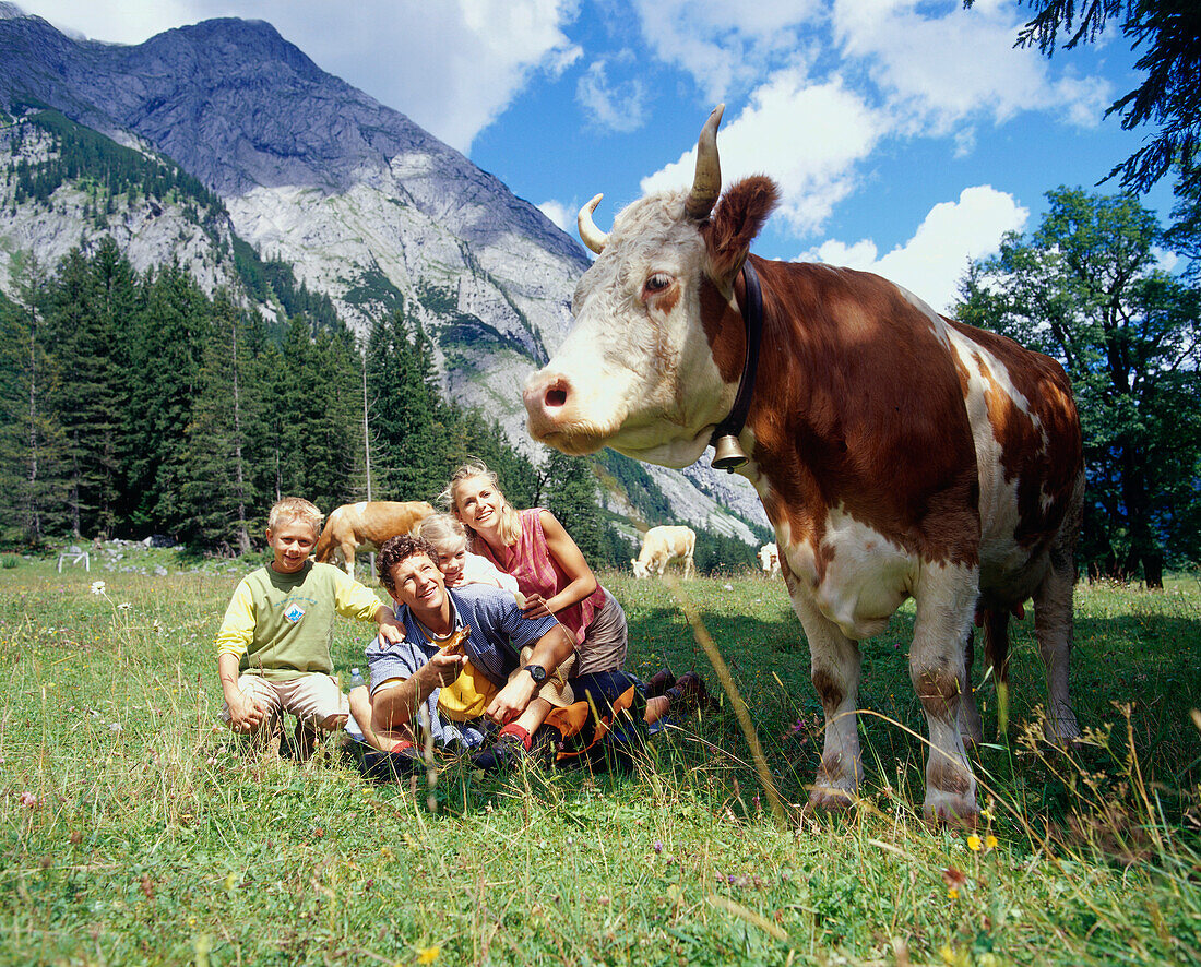 Family sitting in grass near a cow, Eng, Kleiner Ahornboden, Tyrol, Austria