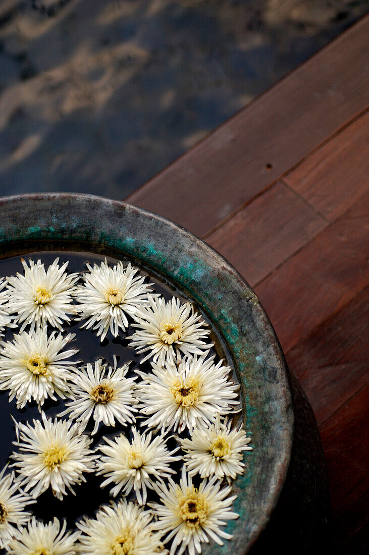 Nahaufnahme von Blumen, Spa, Kirimaya Design Hotel, Thailand