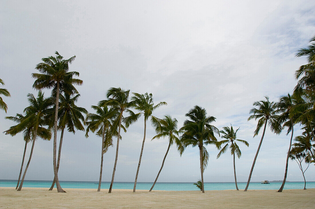 Palmenstrand, One & Only Resort Reethi Rah, Malediven