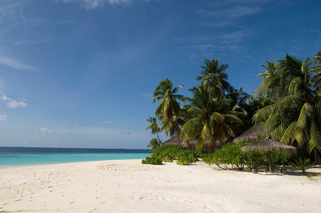 Weiße Sandstrand mit Palmen, Luxusurlaub auf eine Privatinsel mit eigener Yacht, Rania Experience, Faafu Atoll, Malediven