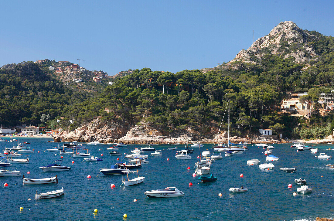 Boats, Aiguablava, Costa Brava, Catalonia, Spain