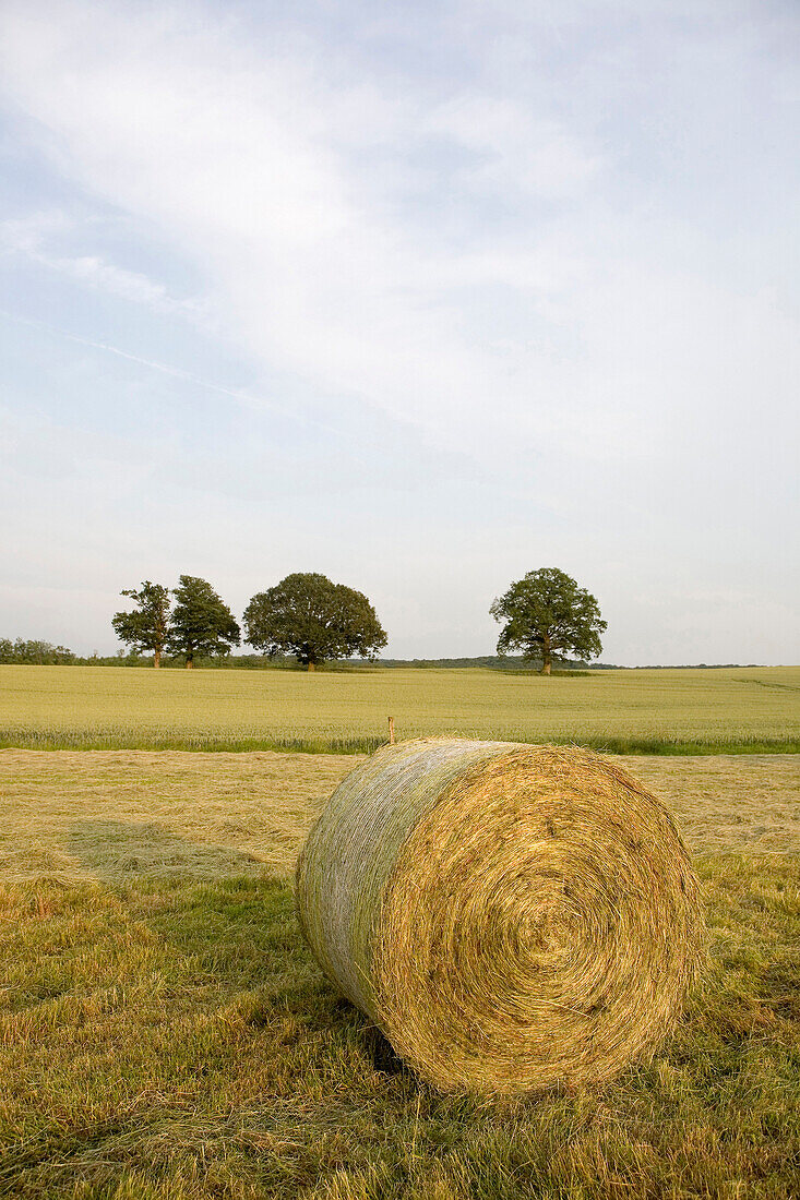Bale of straw on a field, France