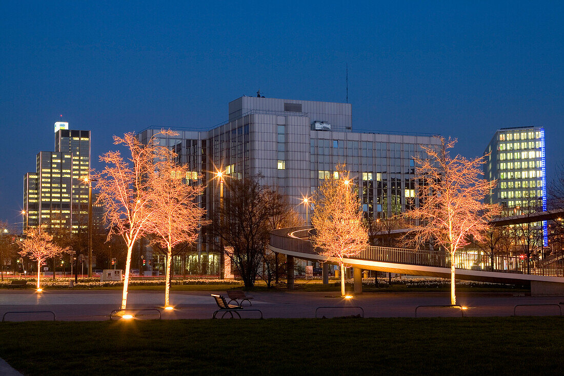 Office buildings behind illuminated trees, Duesseldorf, North Rhine-Westphalia, Germany, Düsseldorf, North Rhine-Westphalia, Germany