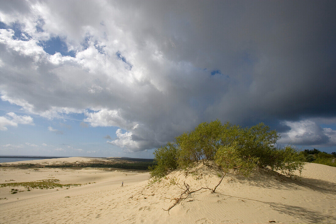 Hohe Düne in Nida (Nidden), Kurische Nehrung, Litauen