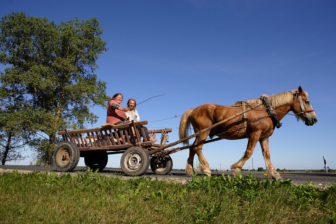 Frauen auf Pferdefuhrwerk in der Umgebung von Vilnius, Litauen