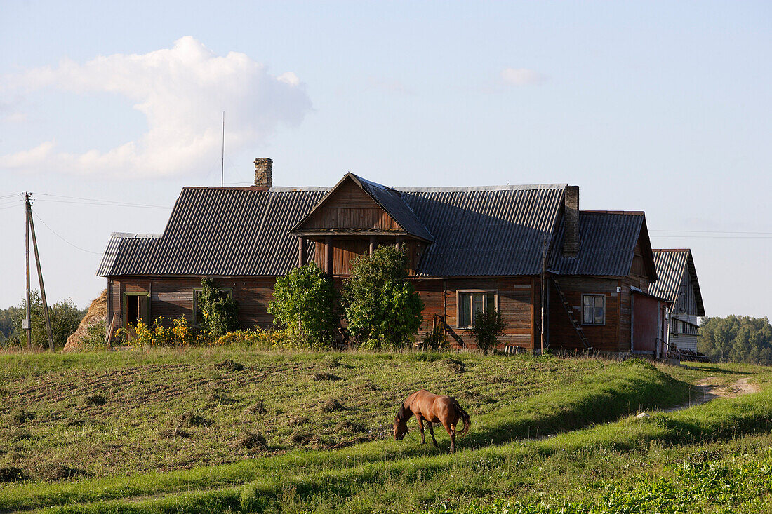 Bauernhaus in der Gegend von Trakai, Litauen